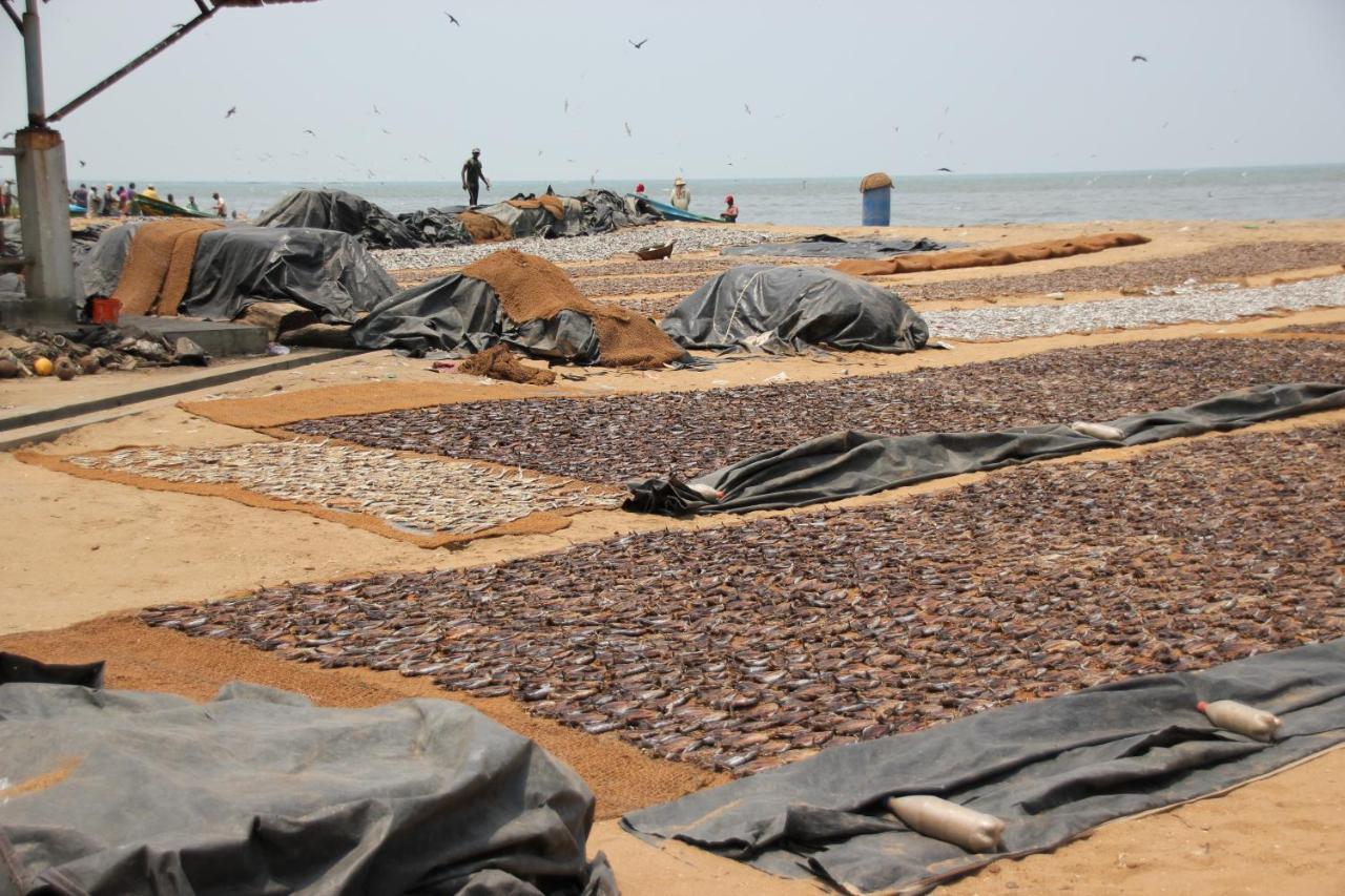 Oyo 270 Pavana Resort Negombo Dış mekan fotoğraf